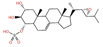 Acanthosterol sulfate A
